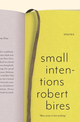 Small Intentions by Bires, Robert Scott