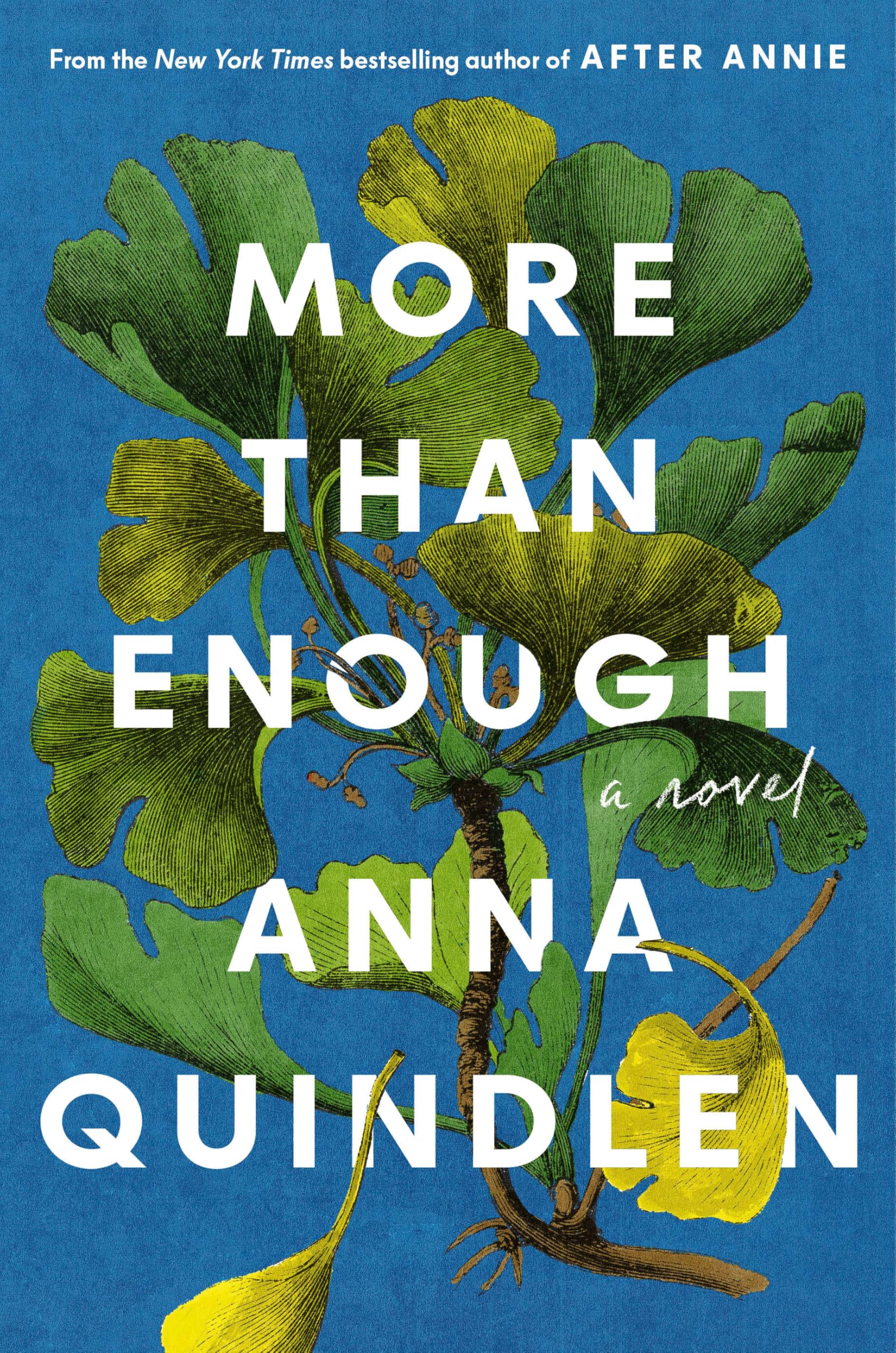 More Than Enough by Quindlen, Anna
