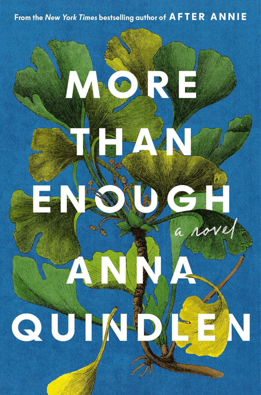More Than Enough -- Anna Quindlen, Hardcover