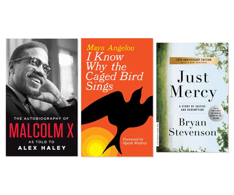 Civil Rights & Social Justice Voices 3-Book Complete Bundle Set, Mass Market Paperbound