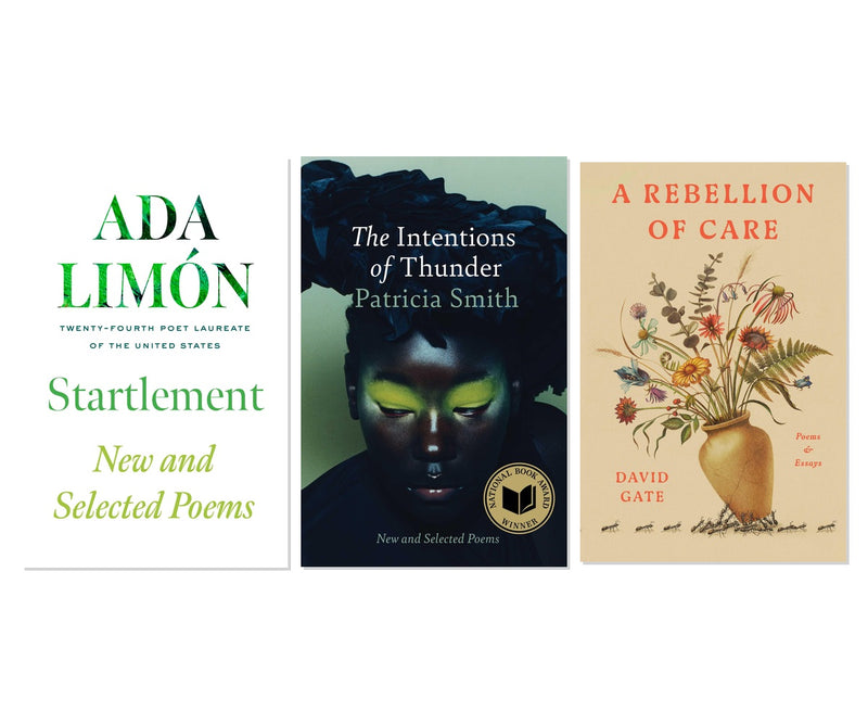 Contemporary Poetry Voices 3-Book Collection: Award-Winning Poets