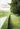 Poems New and Collected by Szymborska, Wislawa