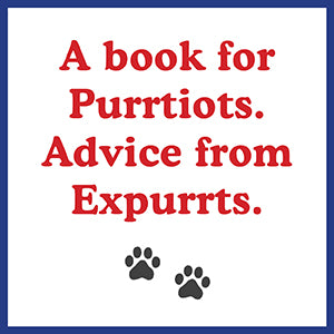 How to Talk to Your Cat about Gun Safety: And Abstinence, Drugs, Satanism, and Other Dangers That Threaten Their Nine Lives -- Zachary Auburn, Paperback
