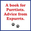 How to Talk to Your Cat about Gun Safety: And Abstinence, Drugs, Satanism, and Other Dangers That Threaten Their Nine Lives -- Zachary Auburn, Paperback